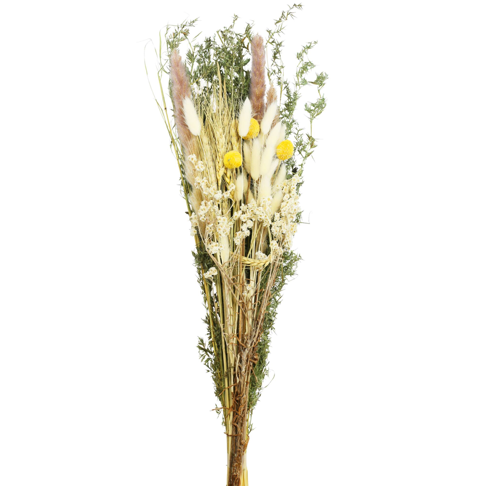 24" Green Dried Foliage Bouquet by Ashland®